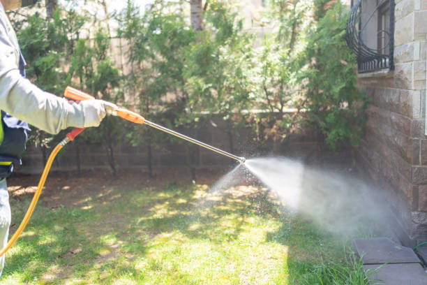 Best Lawn Pest Control  in Stonybrook, PA